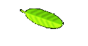 Rettungshunde